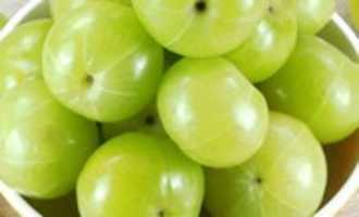 Free download amla free photo or picture to be edited with GIMP online image editor
