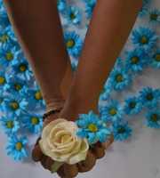 Free download Amor Azul free photo or picture to be edited with GIMP online image editor