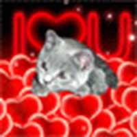 Free picture amor-imagen-animada-0792 to be edited by GIMP online free image editor by OffiDocs