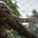 Anaconda  screen for extension Chrome web store in OffiDocs Chromium