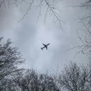 An airplane flying through the trees in a cloudy sky  screen for extension Chrome web store in OffiDocs Chromium
