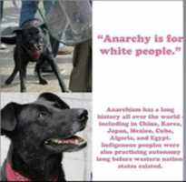 Free download anarchy white people free photo or picture to be edited with GIMP online image editor