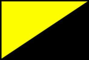 Free download Ancap Flag Digital 1024x 1024 free photo or picture to be edited with GIMP online image editor