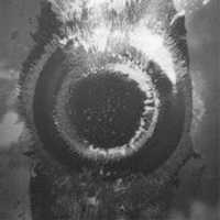 Free download Ancestral Voices - 2017 - Divination free photo or picture to be edited with GIMP online image editor