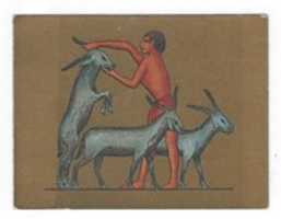 Free download Ancient Egypt Trading Cards free photo or picture to be edited with GIMP online image editor