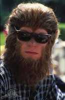 Free download Andrew Taylor wolfman free photo or picture to be edited with GIMP online image editor