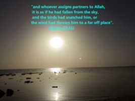 Free download And Whoever Assigns Partners To Allah, It Is As If He Had Fallen From The Sky, And The Birds Had Snatched Him, Or The Wind Had Thrown Him To A Far Off Place. free photo or picture to be edited with GIMP online image editor