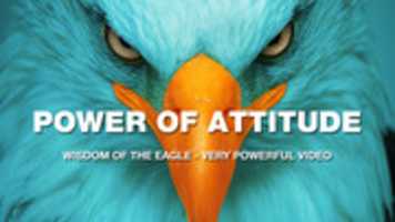 Free download An Eagle Story - The Power of Attitude - Great Motivational Video free photo or picture to be edited with GIMP online image editor