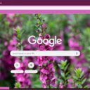 Angelonia  screen for extension Chrome web store in OffiDocs Chromium