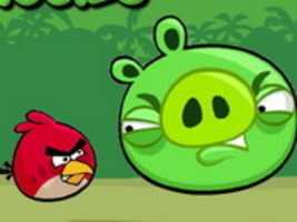 Bezpłatne pobieranie Angry Birds 10FLASHGAMES darmowe zdjęcie lub obraz do edycji za pomocą internetowego edytora obrazów GIMP