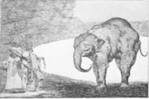 Free download Animal Folly (Disparate de bestia), from the Disparates, plate C free photo or picture to be edited with GIMP online image editor