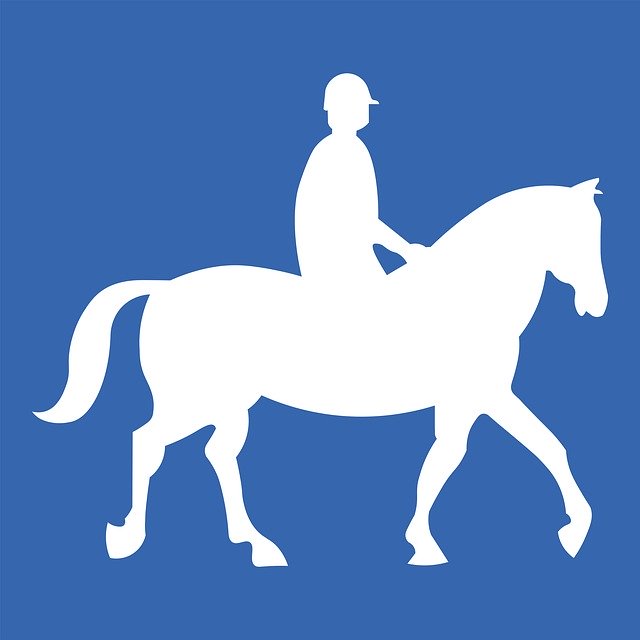 دانلود رایگان Animal Horse Riding - تصویر رایگان قابل ویرایش با ویرایشگر تصویر آنلاین رایگان GIMP