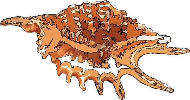 Free download Animal Sea - Free vector graphic on Pixabay free illustration to be edited with GIMP free online image editor