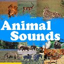 Animal Sounds-scherm voor extensie Chrome-webwinkel in OffiDocs Chromium