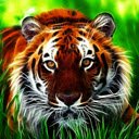 Animated Jungle Tiger Sharp eye Tiger  screen for extension Chrome web store in OffiDocs Chromium
