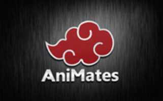 Gratis download AniMates-logo gratis foto of afbeelding om te bewerken met GIMP online afbeeldingseditor