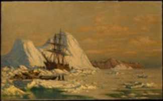 Free download An Incident of Whaling free photo or picture to be edited with GIMP online image editor