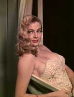 Free download Anita Ekberg Pictures free photo or picture to be edited with GIMP online image editor