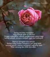 Free download Antara kelasih dan sahabat free photo or picture to be edited with GIMP online image editor