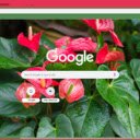 Anthurium  screen for extension Chrome web store in OffiDocs Chromium