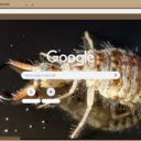 Antlion  screen for extension Chrome web store in OffiDocs Chromium