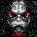 OffiDocs Chromium 中 Chrome 网上商店扩展程序的 AntMan The Little Avenger 屏幕