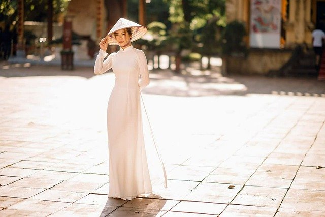 Kostenloser Download von ao dai fashion woman vietnamese free picture to edit with GIMP free online image editor