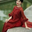 AO DAI THEME  screen for extension Chrome web store in OffiDocs Chromium