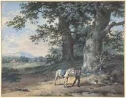Bezpłatne pobieranie Chłop prowadzący swojego konia na obrzeżach lasu Darmowe zdjęcie lub zdjęcie do edycji za pomocą internetowego edytora obrazów GIMP