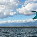 A Person Kitesurfing  screen for extension Chrome web store in OffiDocs Chromium