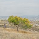 A Person Walking by a Tree  screen for extension Chrome web store in OffiDocs Chromium