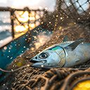 A photorealistic shot of the Wild Tuna Day Celebration  screen for extension Chrome web store in OffiDocs Chromium