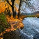 A Picturesque Stream in Autumn  screen for extension Chrome web store in OffiDocs Chromium