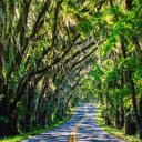 A picturesque winding road  screen for extension Chrome web store in OffiDocs Chromium