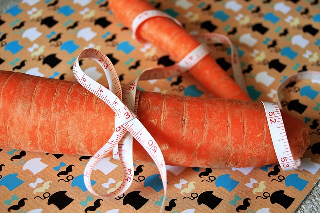जीआईएमपी मुफ्त ऑनलाइन छवि संपादक के साथ संपादित करने के लिए मुफ्त डाउनलोड क्षुधावर्धक आहार गाजर जैव शैली की मुफ्त तस्वीर
