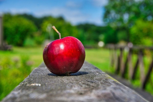 Libreng download apple fruit red apple fresh fruit libreng larawan na ie-edit gamit ang GIMP free online image editor