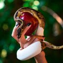 Apple hand and flower snake  screen for extension Chrome web store in OffiDocs Chromium