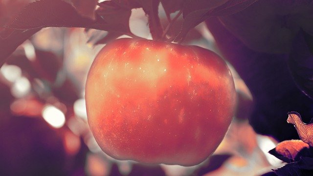 বিনামূল্যে ডাউনলোড করুন অ্যাপল ম্যাজিকাল লাইট - জিআইএমপি বিনামূল্যের অনলাইন ইমেজ এডিটরের মাধ্যমে সম্পাদিত বিনামূল্যের চিত্র
