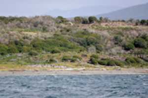 ดาวน์โหลดฟรี Approaching Penguin Rookery บนเกาะ Martillo รูปภาพหรือรูปภาพฟรีที่จะแก้ไขด้วยโปรแกรมแก้ไขรูปภาพออนไลน์ GIMP