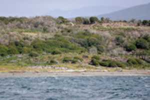 Free picture Approaching Penguin Rookery on Martillo Island to be edited by GIMP online free image editor by OffiDocs