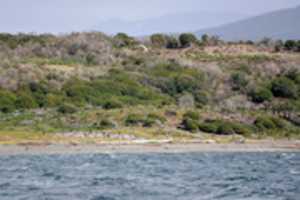 Unduh gratis Approaching Penguin Rookery di Martillo Island foto atau gambar gratis untuk diedit dengan editor gambar online GIMP