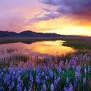 A Prairie Camas Sunset  screen for extension Chrome web store in OffiDocs Chromium