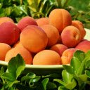 Apricot Heap, Velvet Hues Delight  screen for extension Chrome web store in OffiDocs Chromium