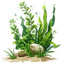 aquatic  screen for extension Chrome web store in OffiDocs Chromium