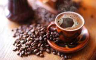 Free download Arabica Coffee free photo or picture to be edited with GIMP online image editor