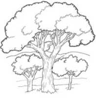 Free download arbre free photo or picture to be edited with GIMP online image editor