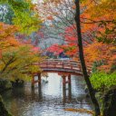 Arched bridge over calm lake in Japanese park  screen for extension Chrome web store in OffiDocs Chromium