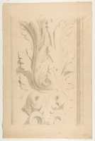 Free download Architectural Motif:  Double Acanthus Fleuron free photo or picture to be edited with GIMP online image editor