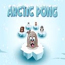 ARCTIC PONG  screen for extension Chrome web store in OffiDocs Chromium