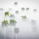 Areca tree garden  screen for extension Chrome web store in OffiDocs Chromium